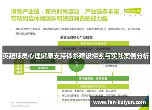 英超球员心理健康支持体系建设探索与实践案例分析